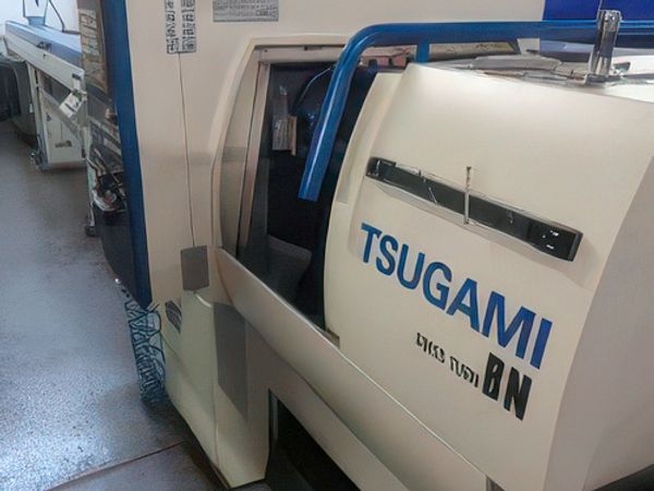 TSUGAMI-BN20-16244