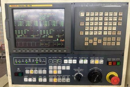 TSUGAMI BS19 III #11844